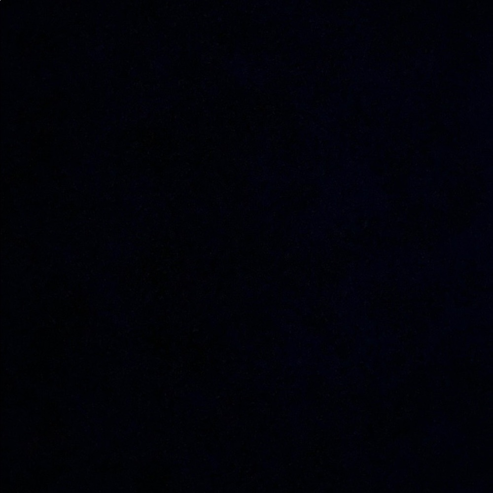 Meet your Posher, Evelyn